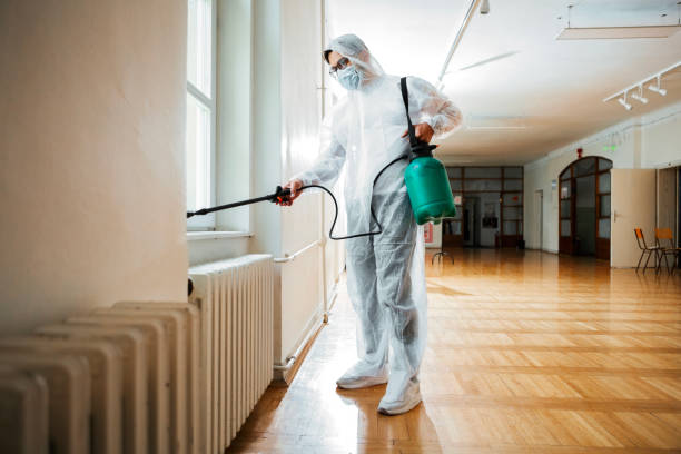 Best Pest Prevention Services  in Elmont, NY